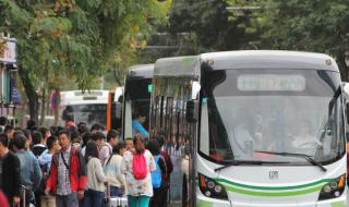 广州2o4公交车停靠经过的路线 广州公交车线路